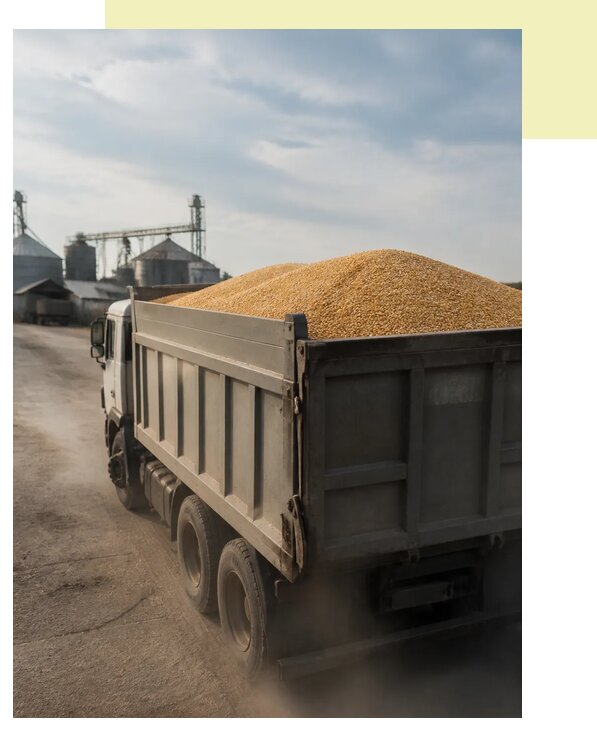 Перевозка сельхозпродукции навалом в Новокузнецк по цене от 3082 р. | Агросервис-Нвк